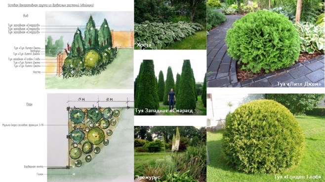 Рассрочка 0% – работы студентов - 30