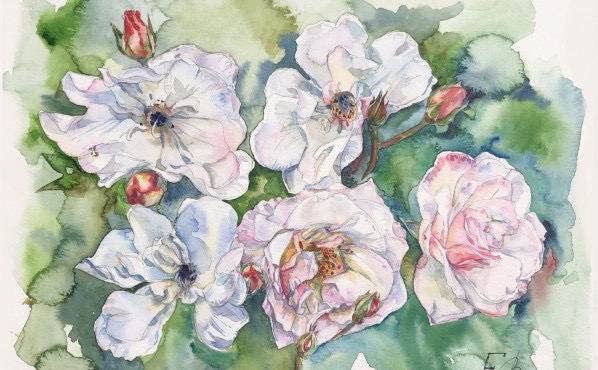 Иллюстрация – работы студентов - 17